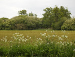 Mokkelengoor